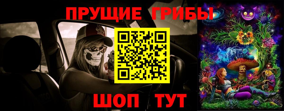 Псилоцибиновые грибы Psilocybe  Вход с VPN  Елизово 